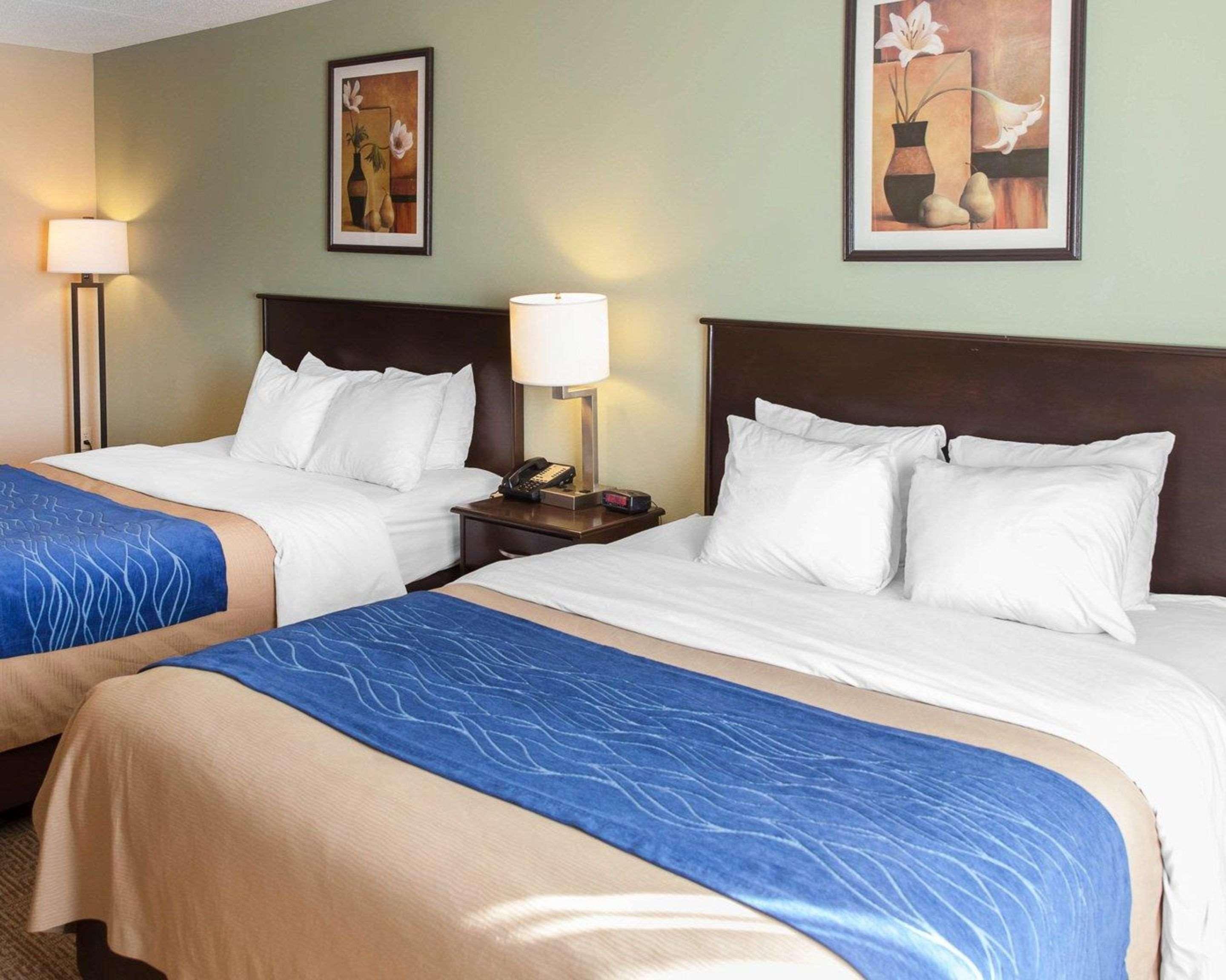 Comfort Inn Near Quantico Main Gate North Дъмфрис Екстериор снимка