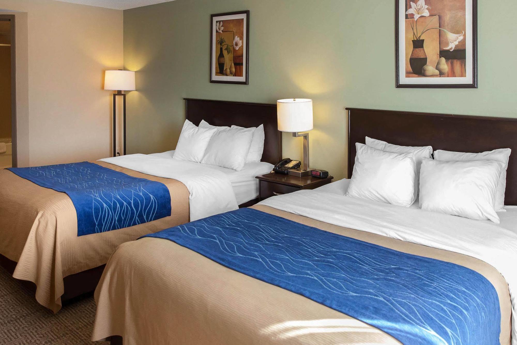 Comfort Inn Near Quantico Main Gate North Дъмфрис Екстериор снимка